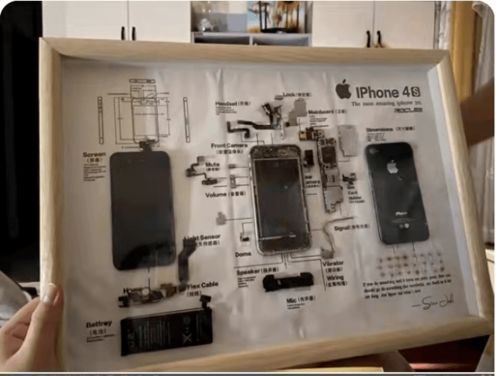 玩偶修復(fù)師、手機(jī)入殮師、貓糧品嘗師 新興職業(yè)月入上萬的奧秘